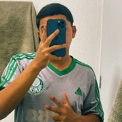 Palmeiras 🤍💚
Mancha Alvi Verde ⚔️
Bsb📍