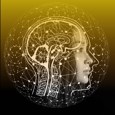 PensamentoPoder's profile picture. Você é o autor da sua história, oque você está escrevendo? O segredo está dentro de você!