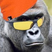PapaRug (We Were Rightβ οΈπ) (@roguepull) 's Twitter Profile
