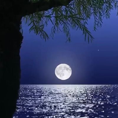 TlEnAWPoKvLZ7BZ's profile picture. 