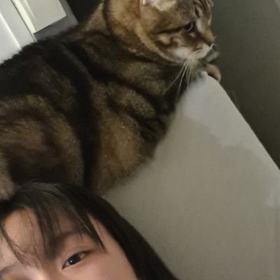 Ojisama to Popoさんのプロフィール画像
