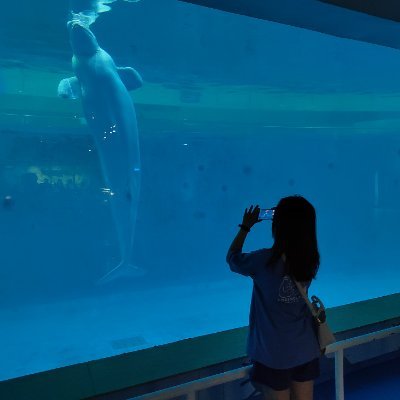 WangQing20301's profile picture.