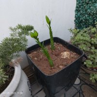 दुबे जी बाबाधाम वाले (@rishrajrishraj) 's Twitter Profile