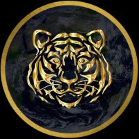 Tiger Mindset (@honordetigre) 's Twitter Profile Photo Tiger Mindset (@honordetigre) 's Twitter Profile Photo