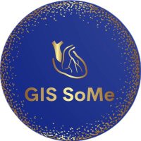 GIS_SoMe (@gis_some) 's Twitter Profile Photo GIS_SoMe (@gis_some) 's Twitter Profile Photo