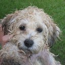 Jocelyn Roy - @prncesjoce - Twitter