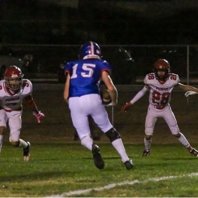 Xander Turnbell Profile