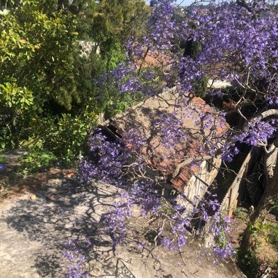 s23infinity1's profile picture. 