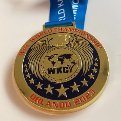 world kickboxing champion