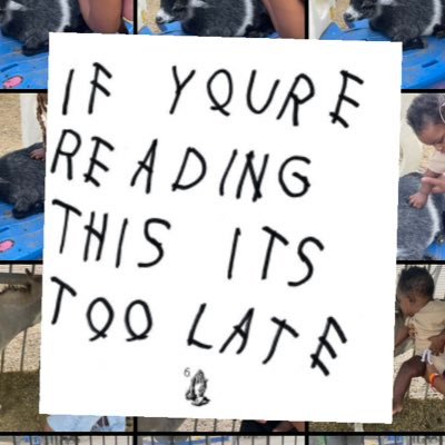 OsheeUshii's profile picture. Working, always working