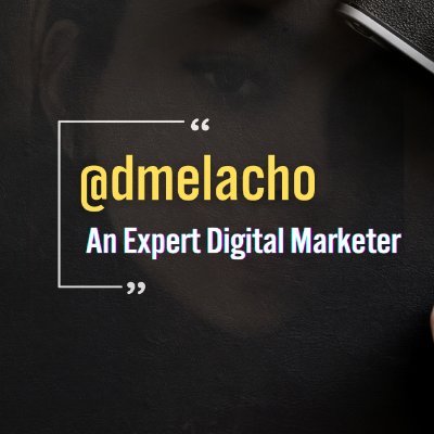 I am a Professional in Digital Marketing and I have been working as a Freelance Digital Marketer over the year.