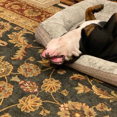 MarkGen48904218's profile picture. 