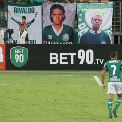 Palmeiras! Criador daquelas bandeiras da gol sul no Allianz Parque! Perfil com opiniões clubistas que não devem ser levadas a sério!