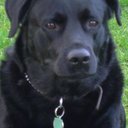 Jan Oates - @lokisjan - Twitter