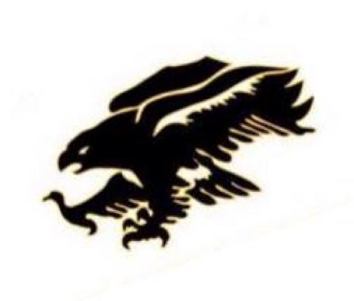 The Official Goldthwaite Lady Eagle Softball twitter page.