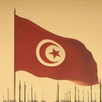 🇹🇳الرمح التونسي🇹🇳(@TNPhalangist) 's Twitter Profile Photo