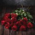 N💫🥀 (@nuriyeaslan1981) Twitter profile photo N💫🥀 (@nuriyeaslan1981) Twitter profile photo