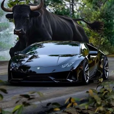 ExcaliburOSRP's profile picture. 