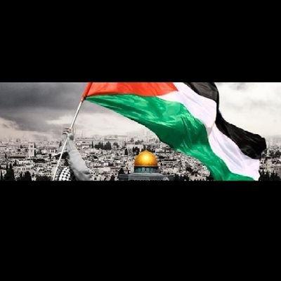 Cezayirturk35's profile picture. 