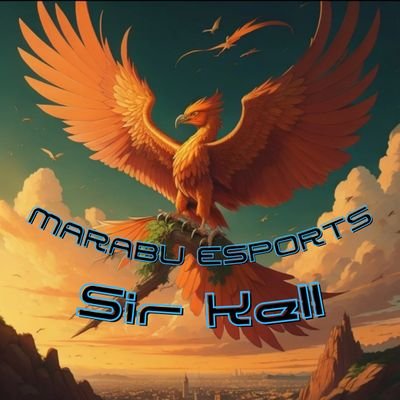 • 18
• semi-professional Player for Marabu eSports
