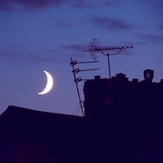 김세영 a.k.a 영세짱