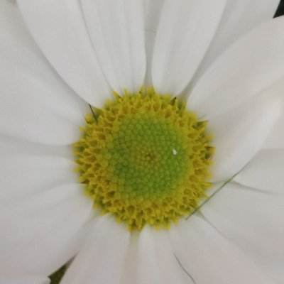 Ikrpc1's profile picture. #2000LilerKademeBekliyor