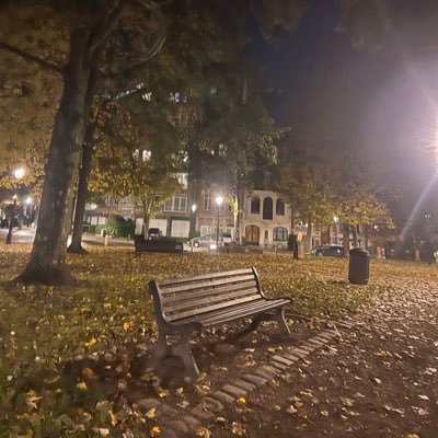 alsamman_rasha's profile picture. 