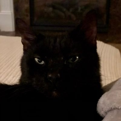 m00921905's profile picture. 