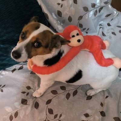 PilarFloresP's profile picture. 