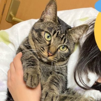 コンビニ入金(済) (@random964) 's Twitter Profile