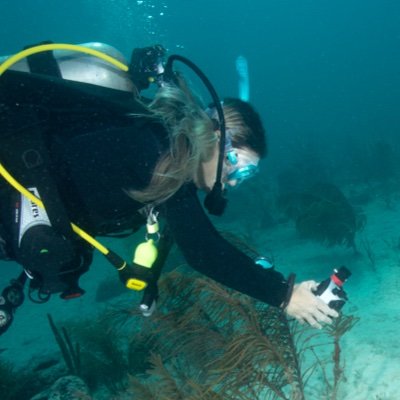 Dr. G Nicholson🐠 🌊 | Marine Scientist | https://t.co/Ik7SNfwl8x 🏝️ Coral reef cyanobacteria | 🦜 🐟 Parrotfish trophodynamics | 🟦☁️@parrotfishresearch