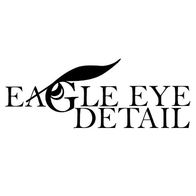 Eagle Eye Detail