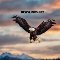 NewsLinks.Net(@NewsLinksNet) 's Twitter Profileg