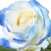 Reinhold Heuvelmann (@sollbruchstelle) Twitter profile photo
