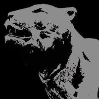 𝐓𝐇𝐄ᅠᅠᅠᅠ𝐓𝐈𝐆𝐑𝐄𝐒𝐒 (@hachijopet) 's Twitter Profile Photo