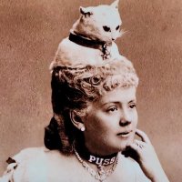 Sprankles (@djsparklepony) 's Twitter Profile