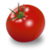 HG Tomato 🍅 (@HGTomato) Twitter profile photo