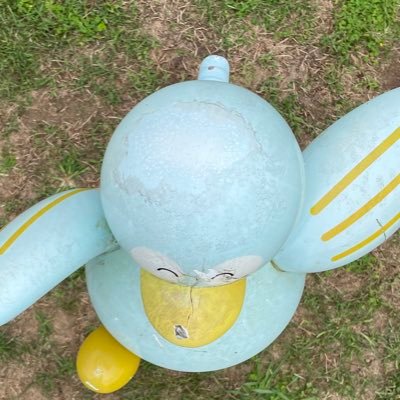 寝起きヤシの木嘆きの樹 こめじです 鍵盤をしばきます よろしくね iidxID→ 5562-5071 SP中伝/発狂六段/SSAsl7