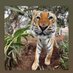 Mike the tiger’s friend (@minionkittycat) Twitter profile photo