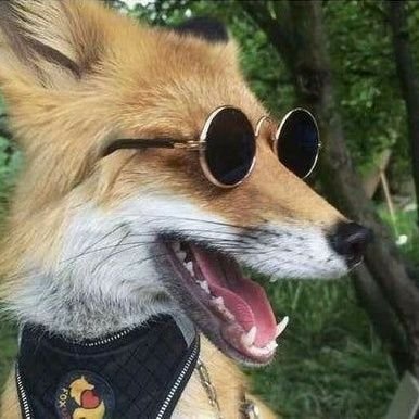 Miirueさんのプロフィール画像