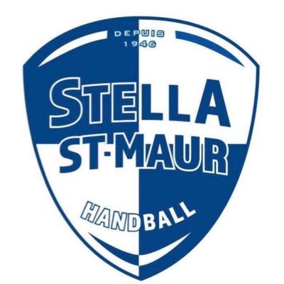 ✨ Equipe Féminine de Handball évoluant en Divison 2 à Saint Maur des Fossés