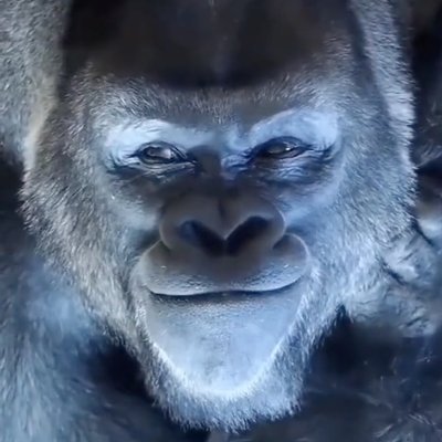 wuerlong's profile picture. hello