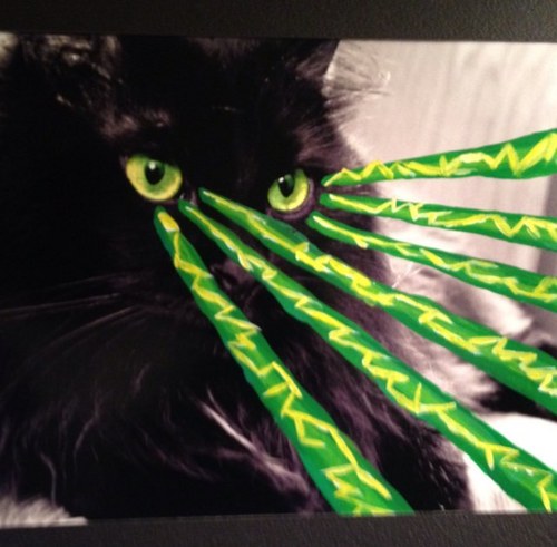 Myidiot_brother's profile picture. Stuff my idiot brother does to upset our normal lifestyle.