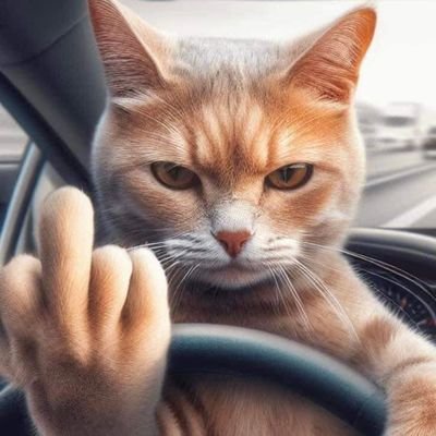 hebsen36's profile picture. 