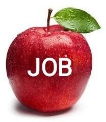 It is a service that helps young graduates looking for new jobs in South India
🌐🏙️🏭
📩jobshelp2024@gmail.com