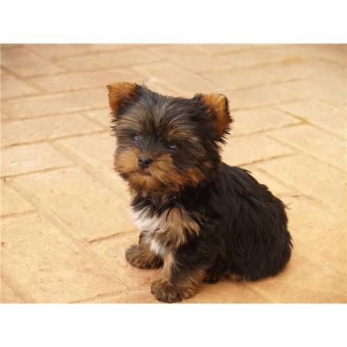 bmrn01's profile picture. Cuando encuentras el camino del éxito para alcanzar tus sueños lo más sencillo es seguirlo. No te rindas!!