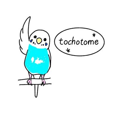 tochotome Profile Picture