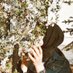 L (@dearlianne) Twitter profile photo L (@dearlianne) Twitter profile photo