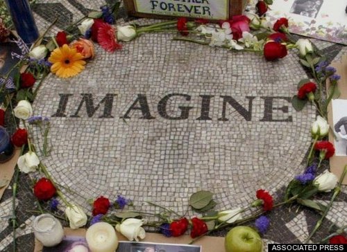 roseat_spoonbil's profile picture. Migrating through genus/species..