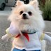 shuri(TOEIC800まで頑張るマン) (@rijikai_) Twitter profile photo shuri(TOEIC800まで頑張るマン) (@rijikai_) Twitter profile photo